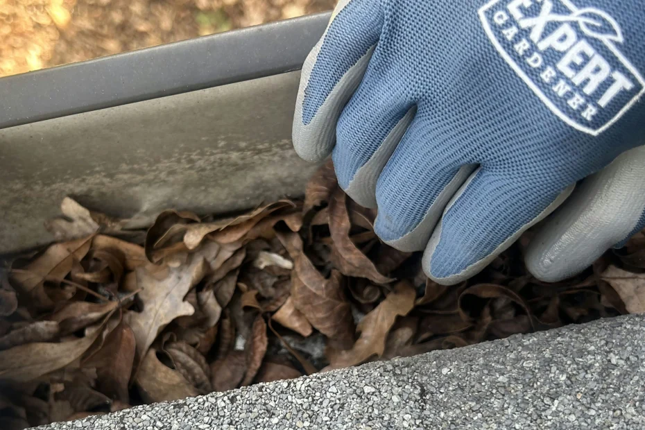 Gutter Cleaning Shaker Heights