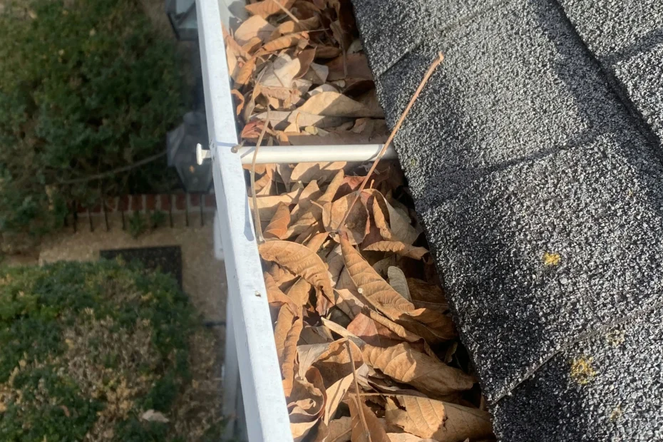 Gutter Cleaning Shaker Heights